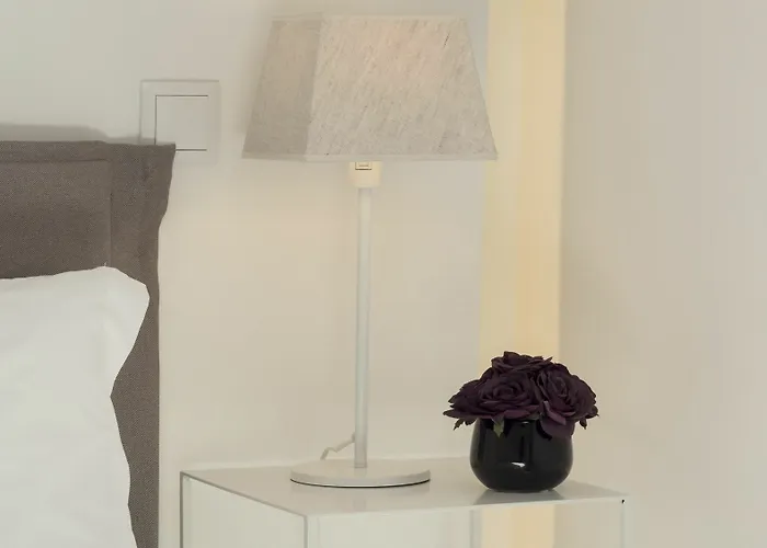 Lsa Restauradores By Numa