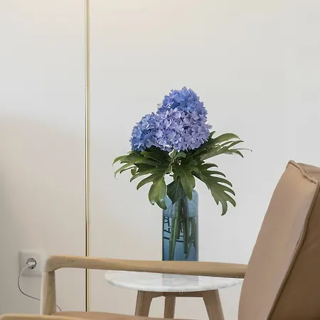 Appartement Serviced - Avenida